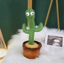 Dancing cactus with box set of 10