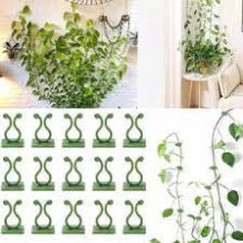 Unique Plant Climbing Wall Clips Set of 30