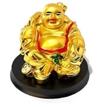 Laughing Buddha with Wealth for Money Success & Happiness