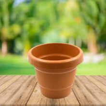 Decorative Flowers Pot / Planter Pot Best for Office & Home