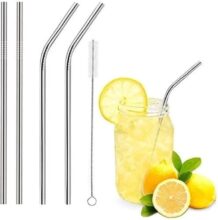 Stainless steel Straw with brush set of 5